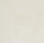 White, rug