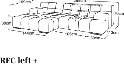 REC left + element armrest right incl. 1 MBA, drawn to scale with dimensions