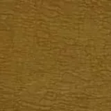 Atmosphere in Olive
