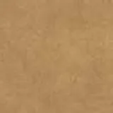 Eagle in Sand