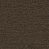 Earth in Bison