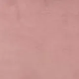 Jolie in Rose