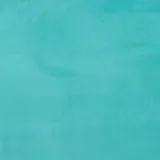 Jolie in Mint
