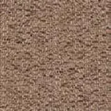 Medici in Brown