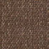 Medici in Dark Brown