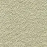 Roma in Lemon Sorbet
