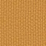 Sahara in Mustard