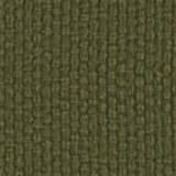 Sahara in Olive