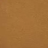Soul in Camel