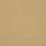 Soul in Beige