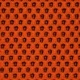 Tecno in Pumpkin